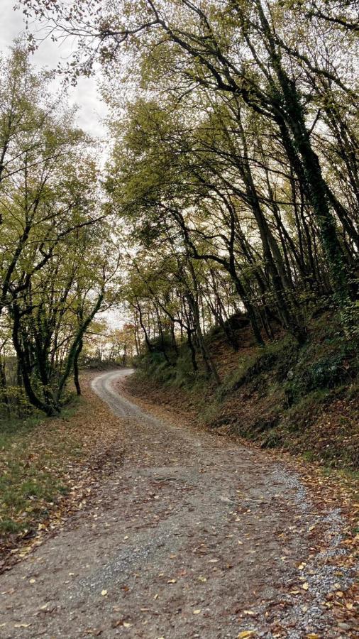 Pensjonat La Fonte Di Gaiche Piegaro  Zewnętrze zdjęcie