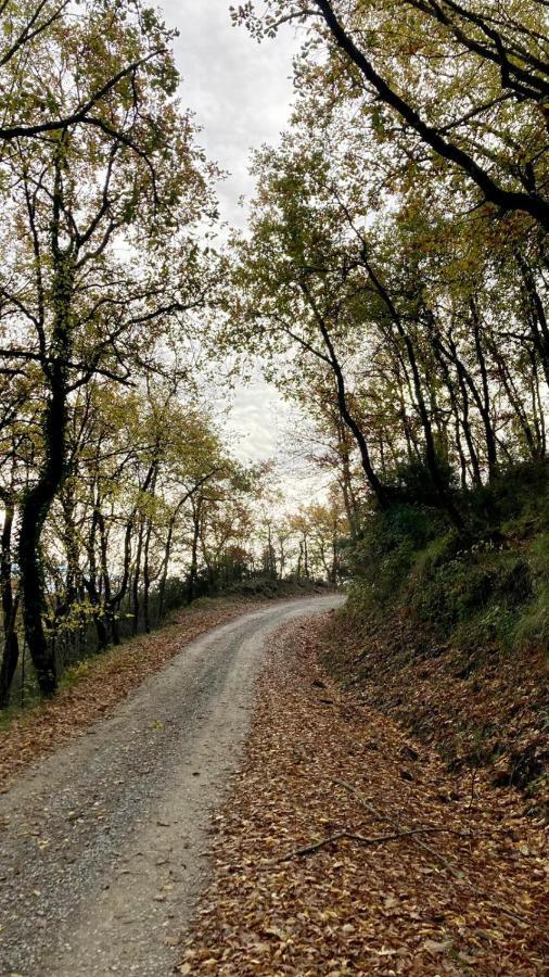 Pensjonat La Fonte Di Gaiche Piegaro  Zewnętrze zdjęcie